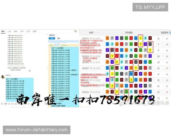 精准解析十一选五开奖记录规律与投注技巧全面指南